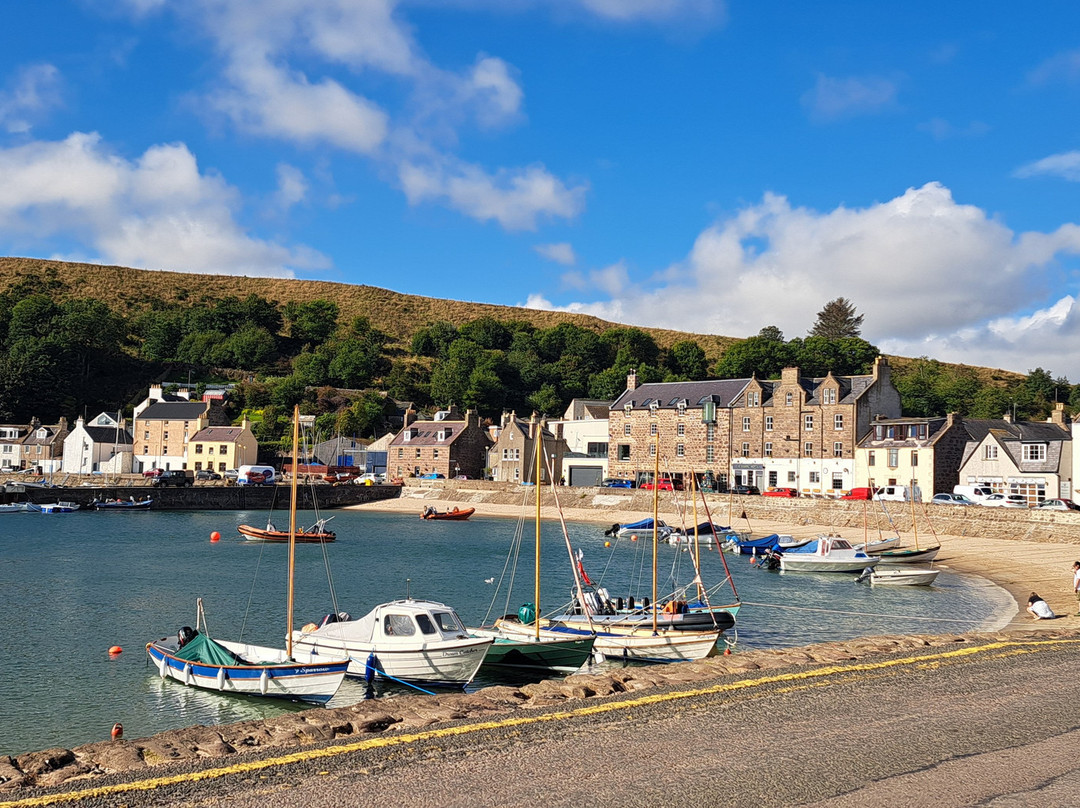 Shorehead Guest House主图