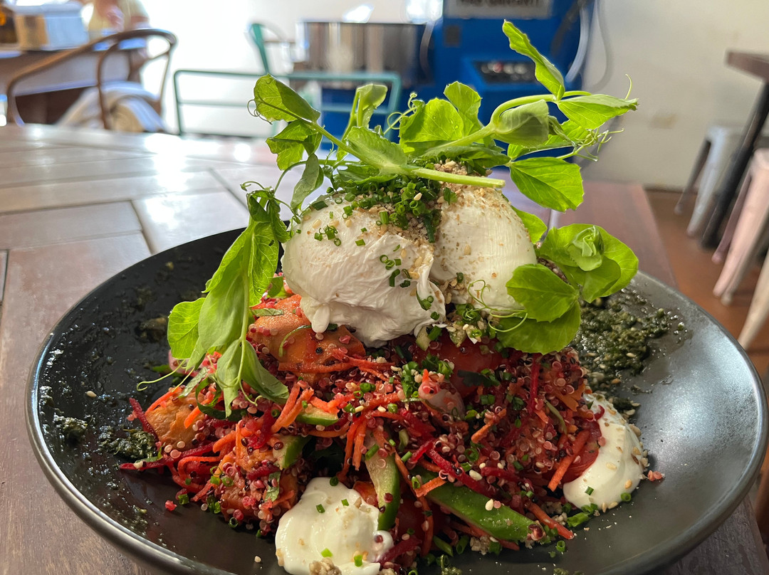 Gun Cotton Coffee Roasters