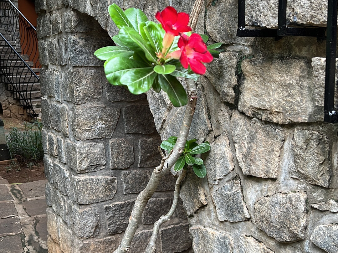 Sparsa Thiruvannamalai主图