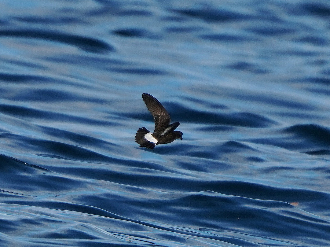 Aquaholics-Portstewart必去景点