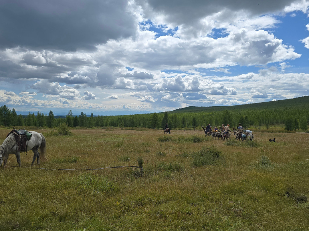 Nomadic Trails-乌兰巴托必去景点