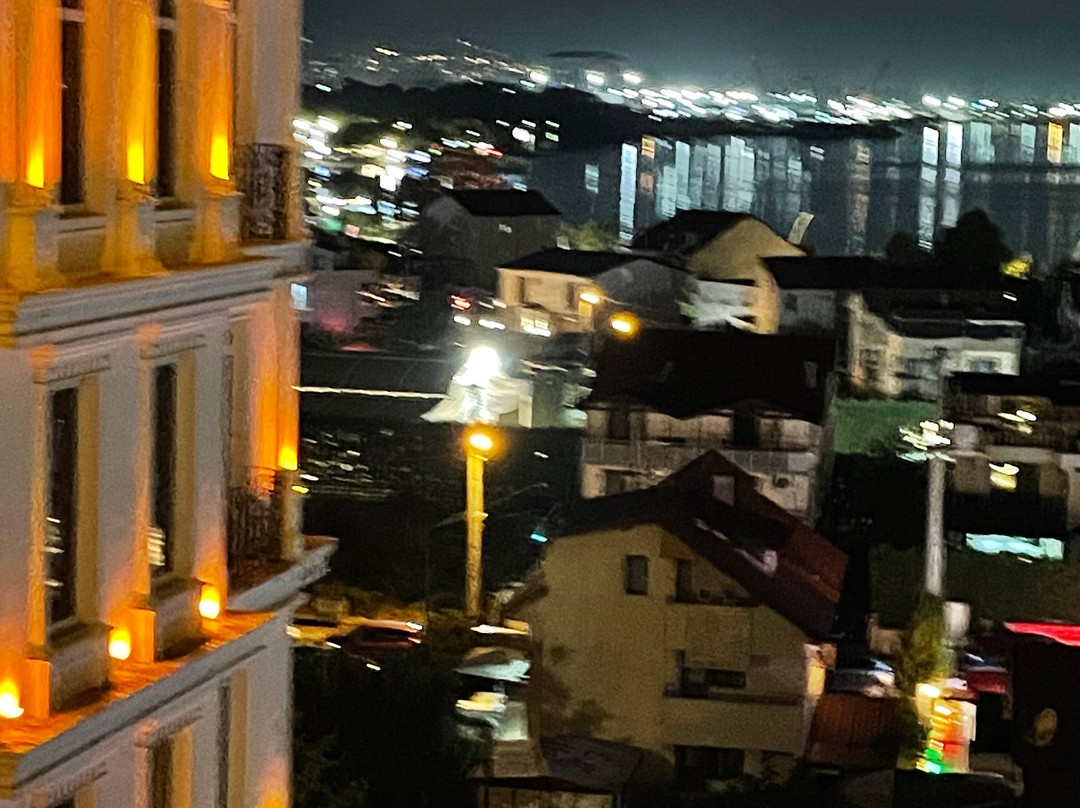 Wellborn Luxury Hotel主图