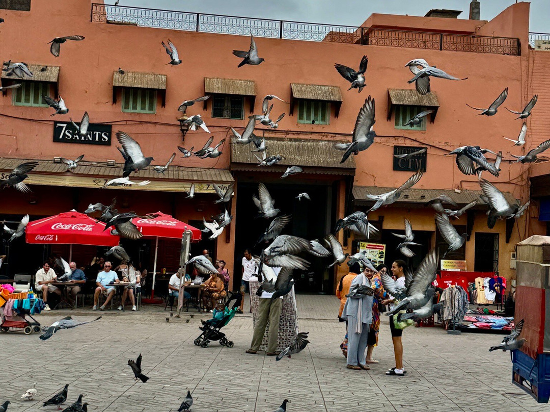 梅拉区-马拉喀什必去景点