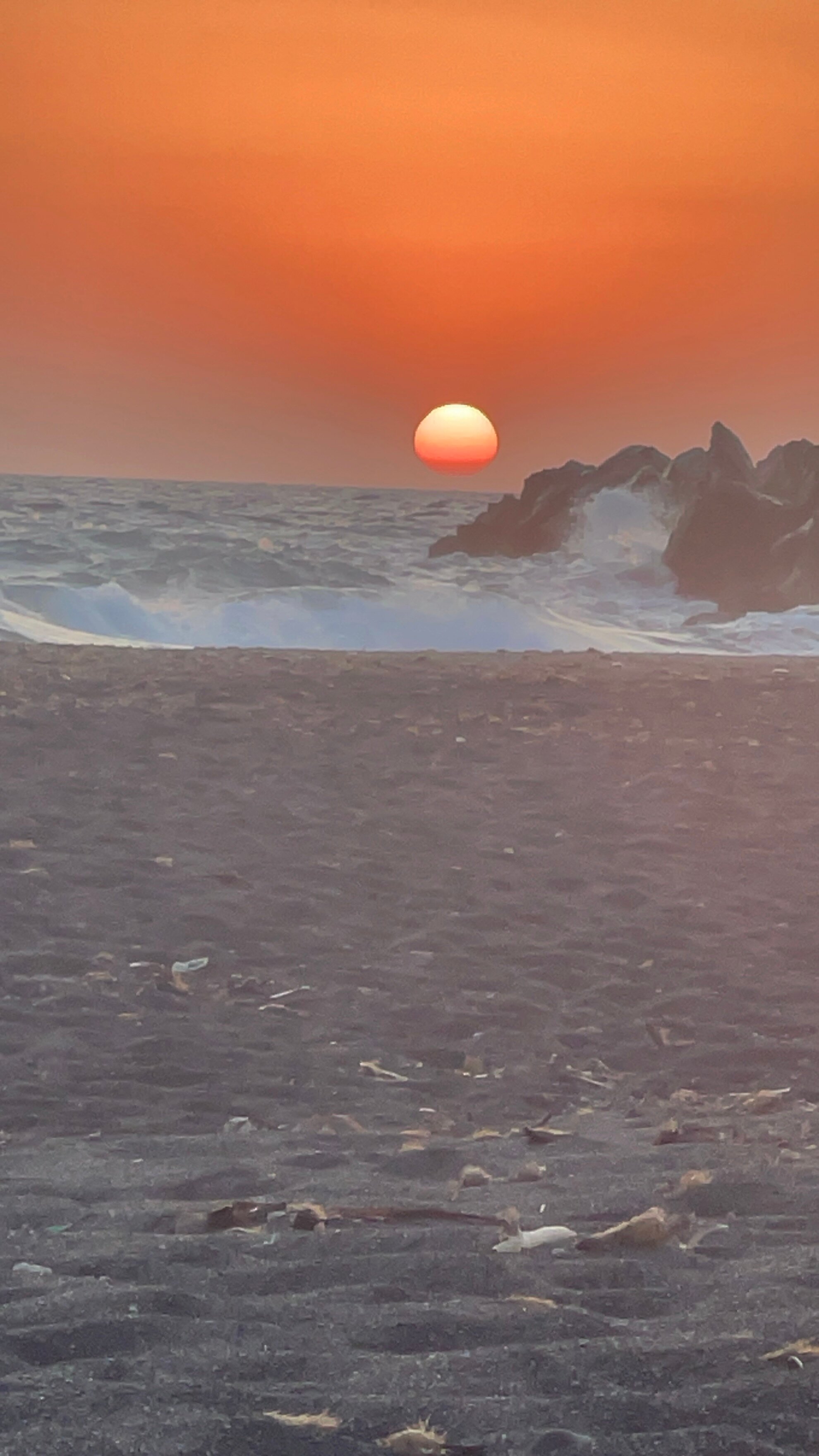 天蝎座海滩酒店-官方