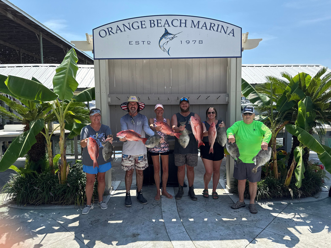 Charter Boat Distraction-橙色海湾必去景点