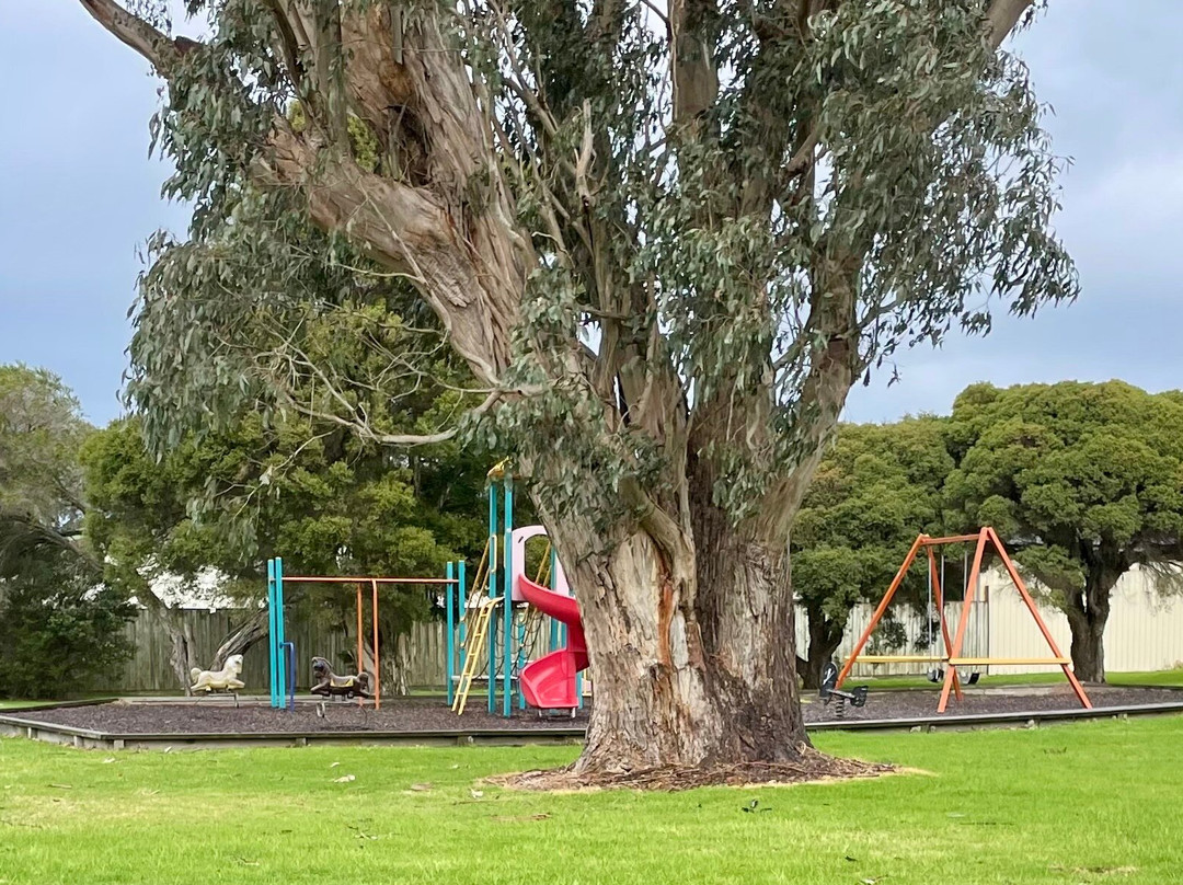 Franklin Street Playground-Port Franklin必去景点