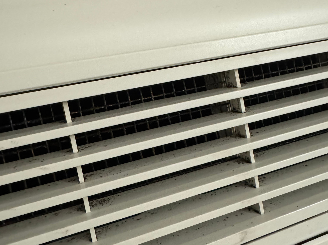 Baywatch Resort主图