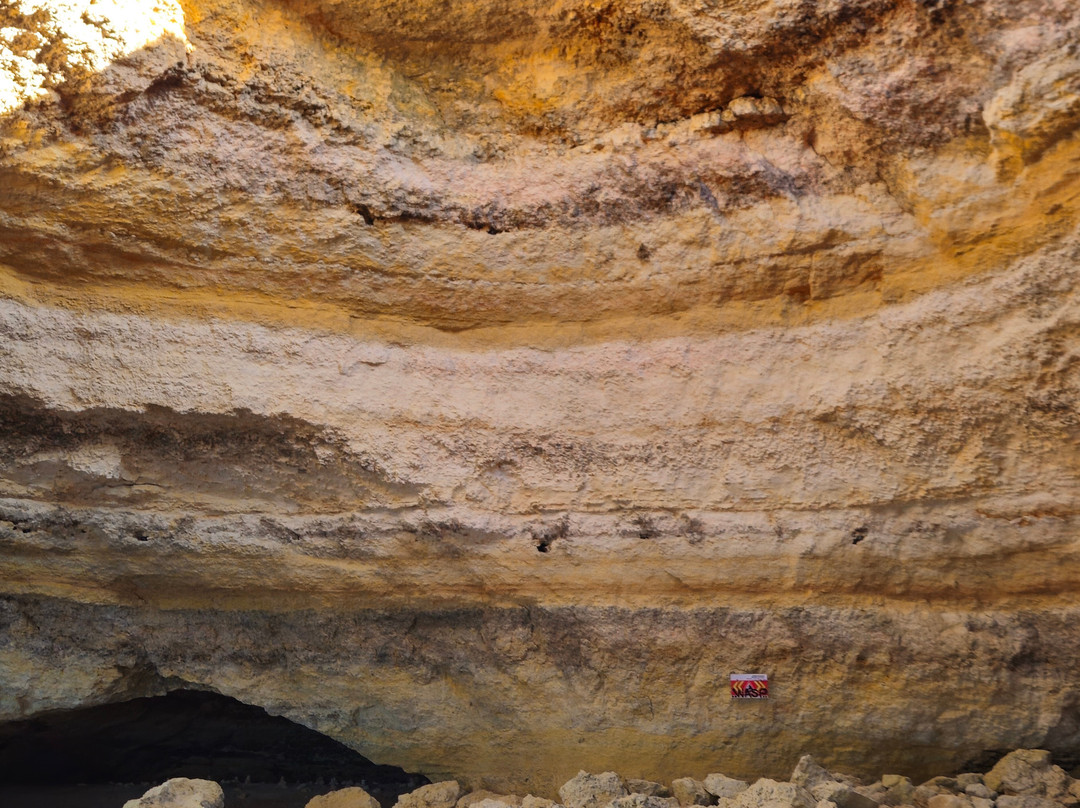Treasure Tours-Porches必去景点