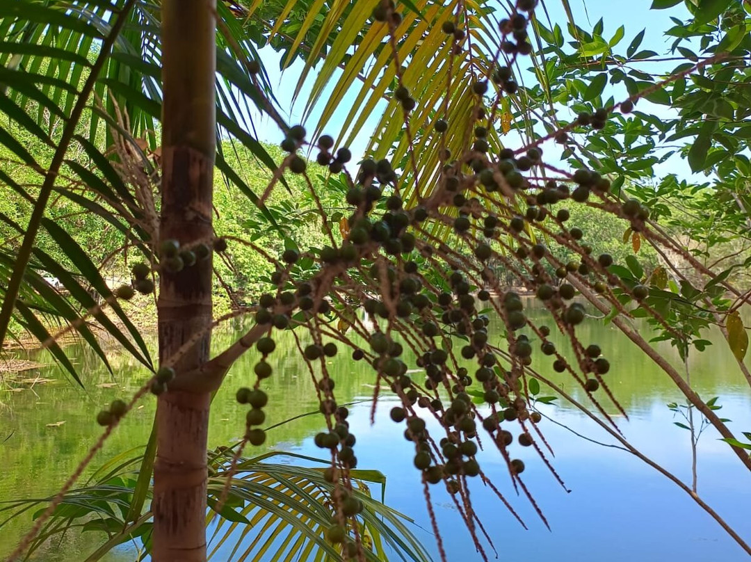 Nazareth Eco Hotel主图