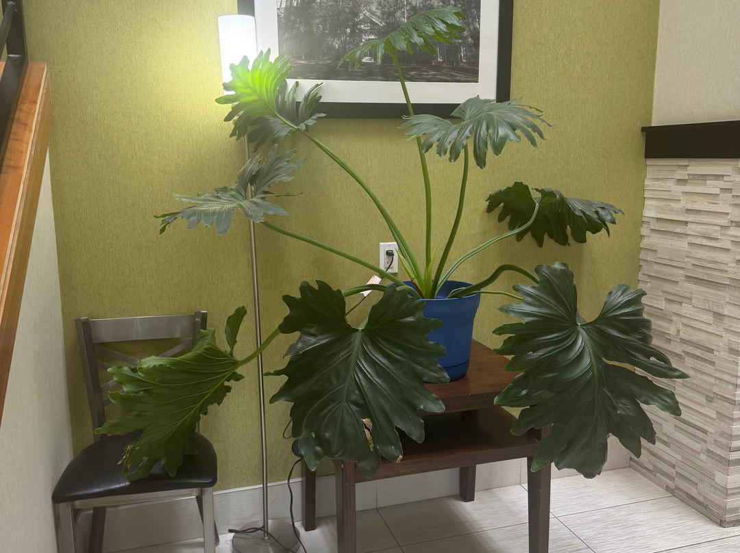 莫斯科帕尔曼拉金塔旅馆&套房酒店主图