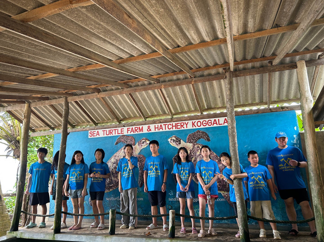 Lily Holiday Tour Sri Lanka-尼甘布必去景点