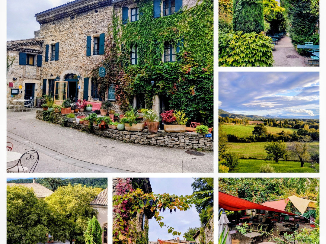 马斯喀特乔木酒店主图