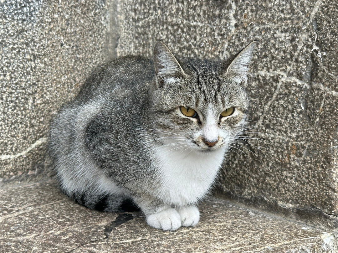 Sheki Karvansaray-舍基必去景点