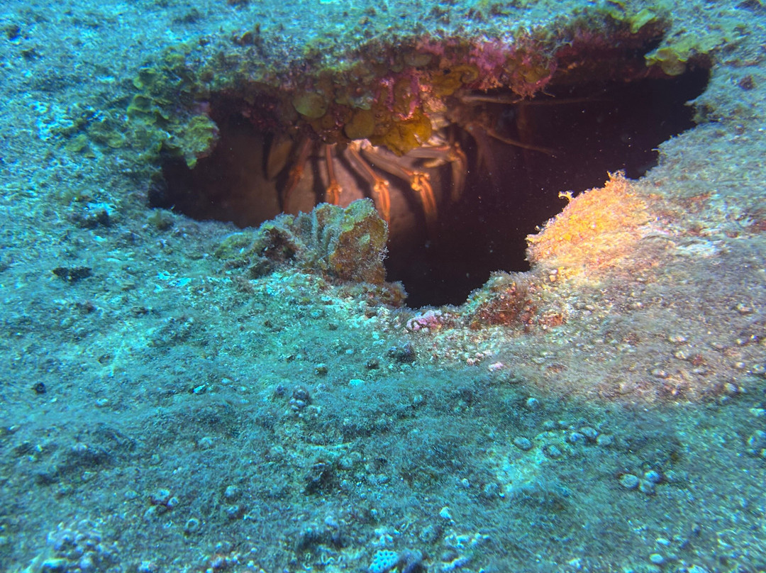 Aqua Marine Dive Center-圣 托马斯必去景点