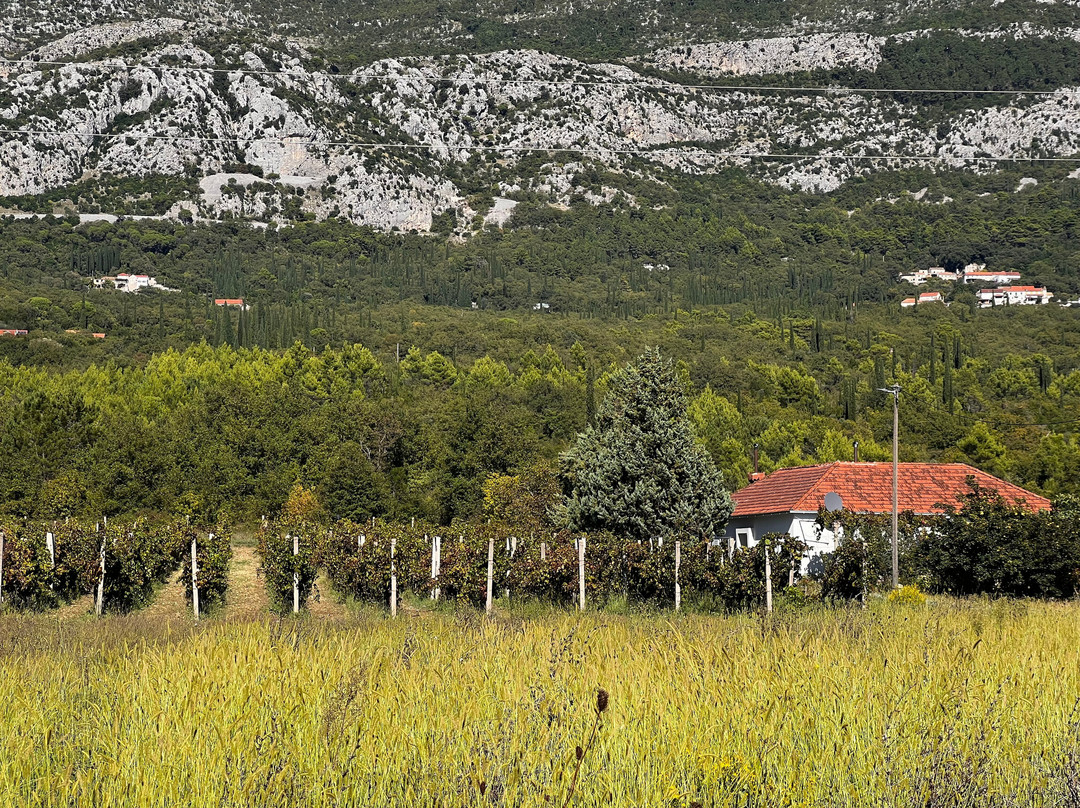 Winery Miljas-Mihanici必去景点