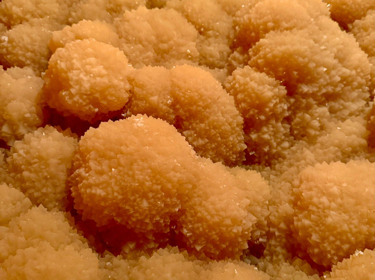 Caverns of Sonora-Sonora必去景点