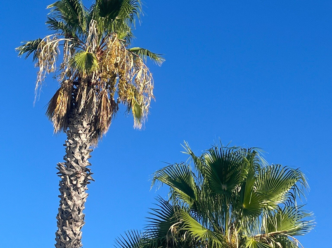 La casa di Frank主图