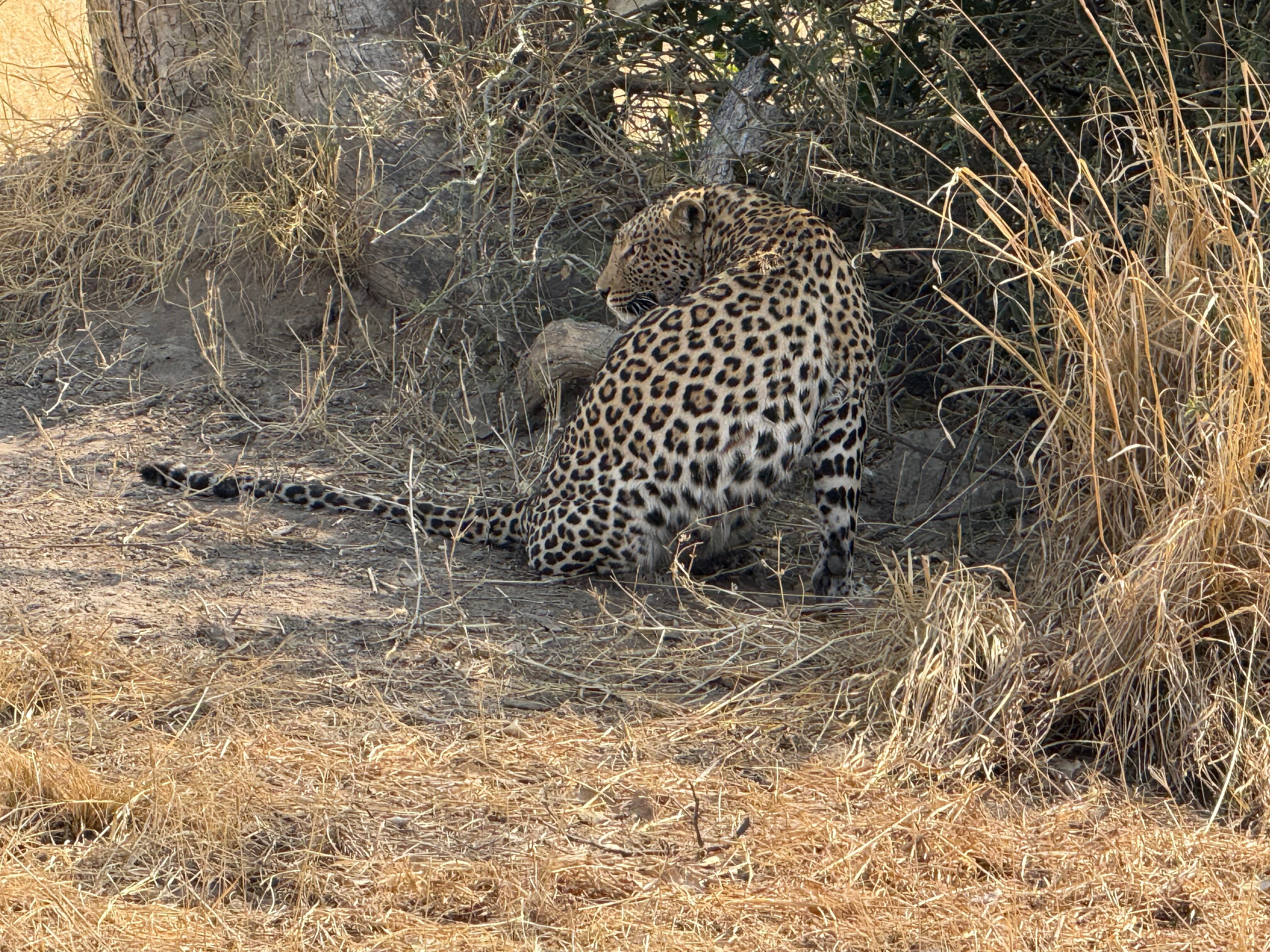 Chobe Safari Lodge-官方
