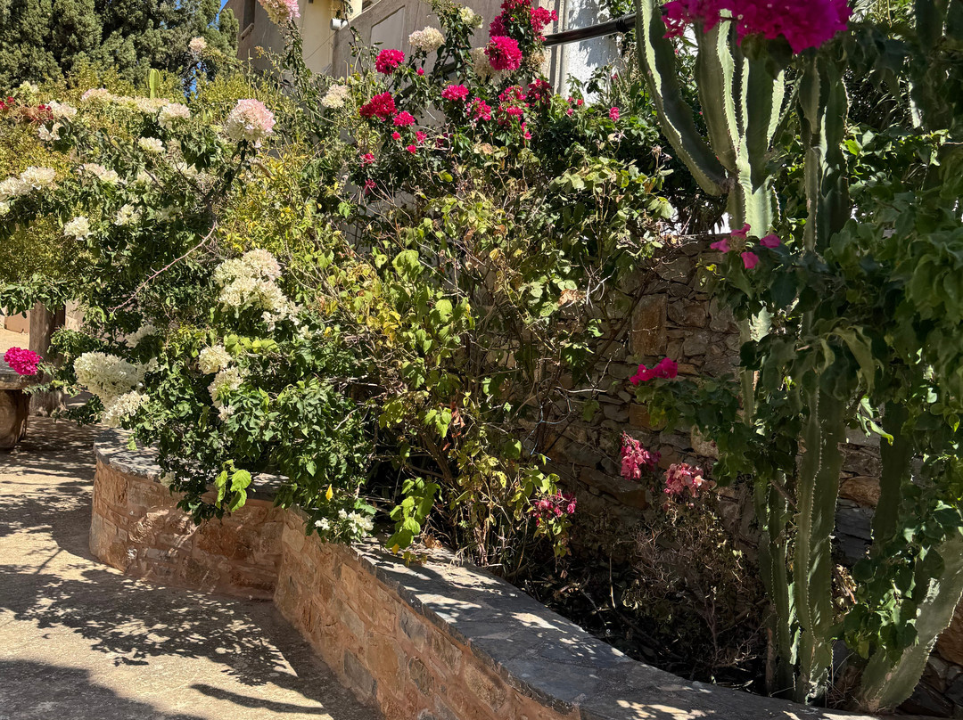 Happy Train-Elounda必去景点