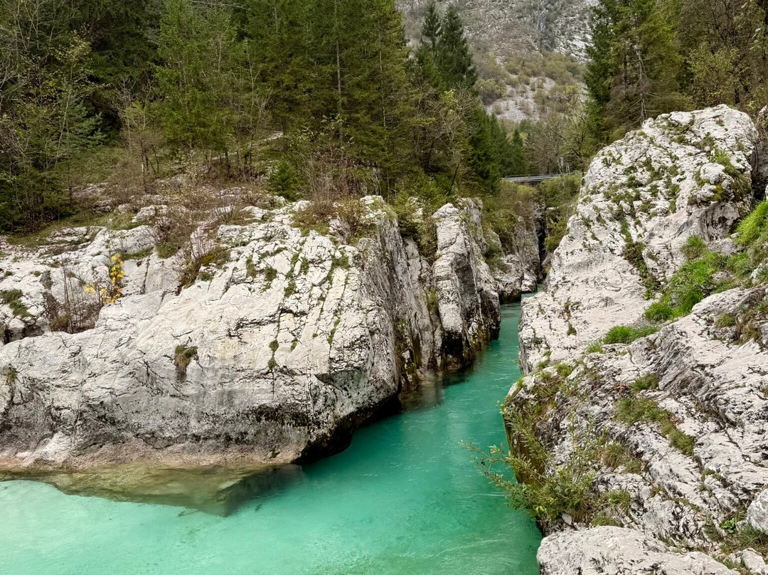 Adventure Slovenia-卢布尔雅那必去景点