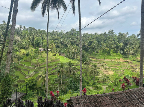 Find Bali Drivers-水明漾必去景点