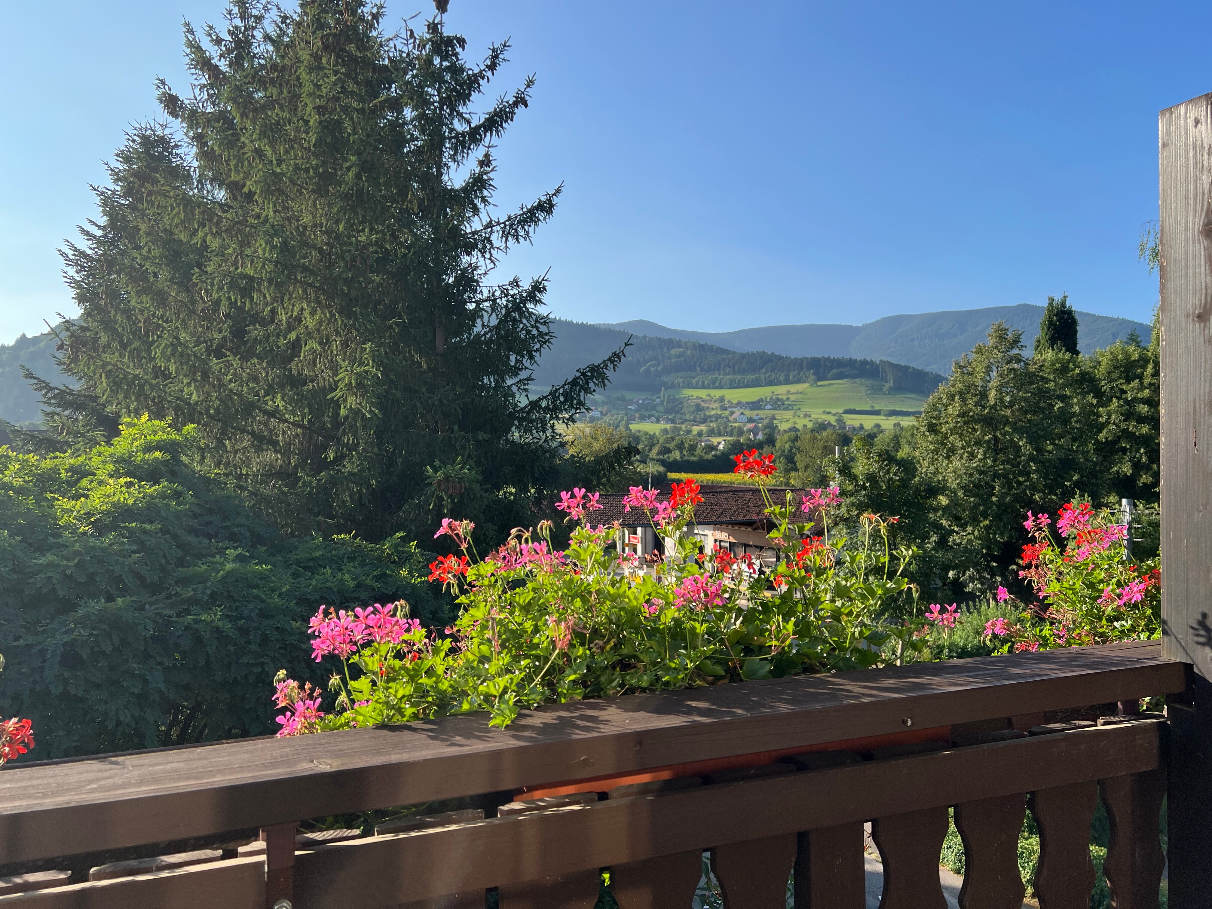 施多罗是瓦兹瓦尔德酒店-官方