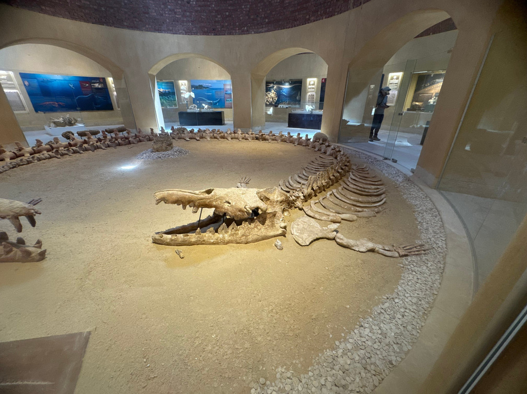 Marsa Alam Tours-马萨阿拉姆必去景点