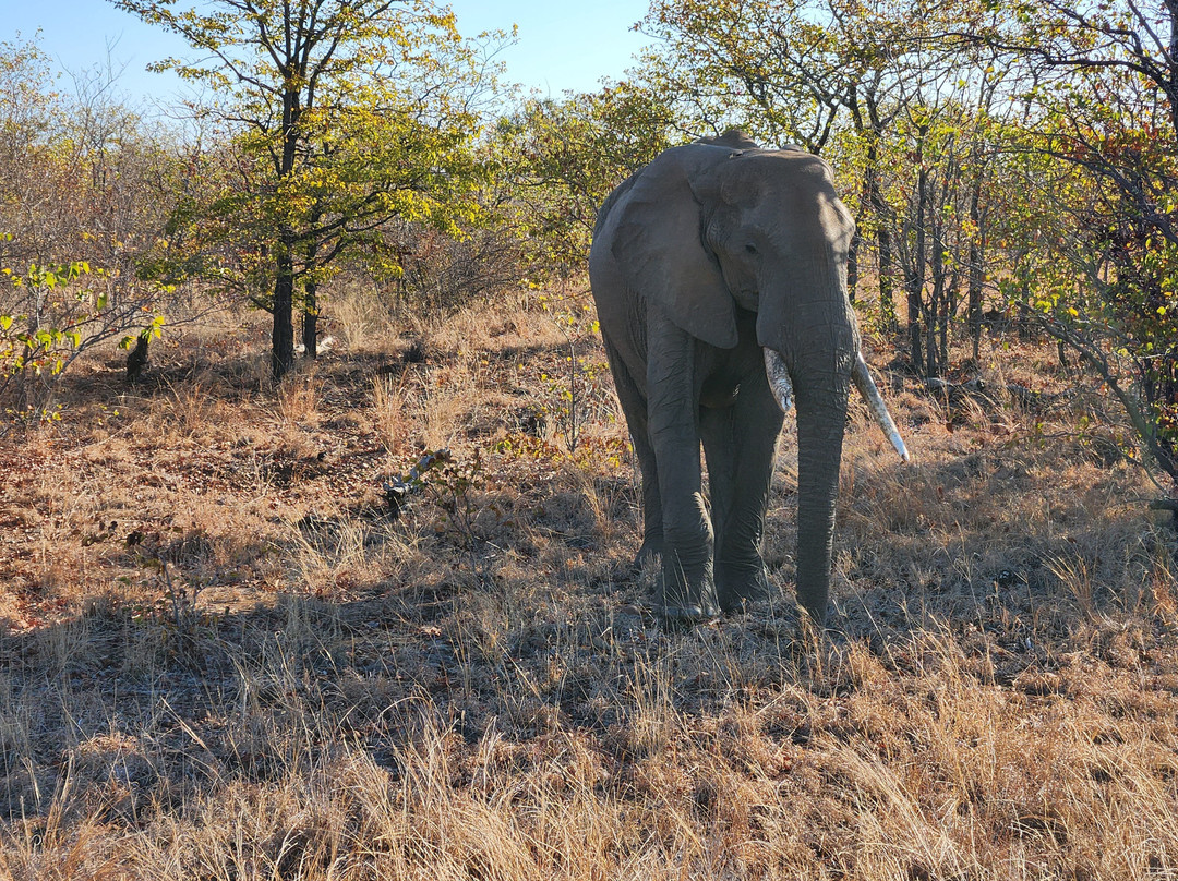 Khalanga Safaris-伐拉博瓦必去景点