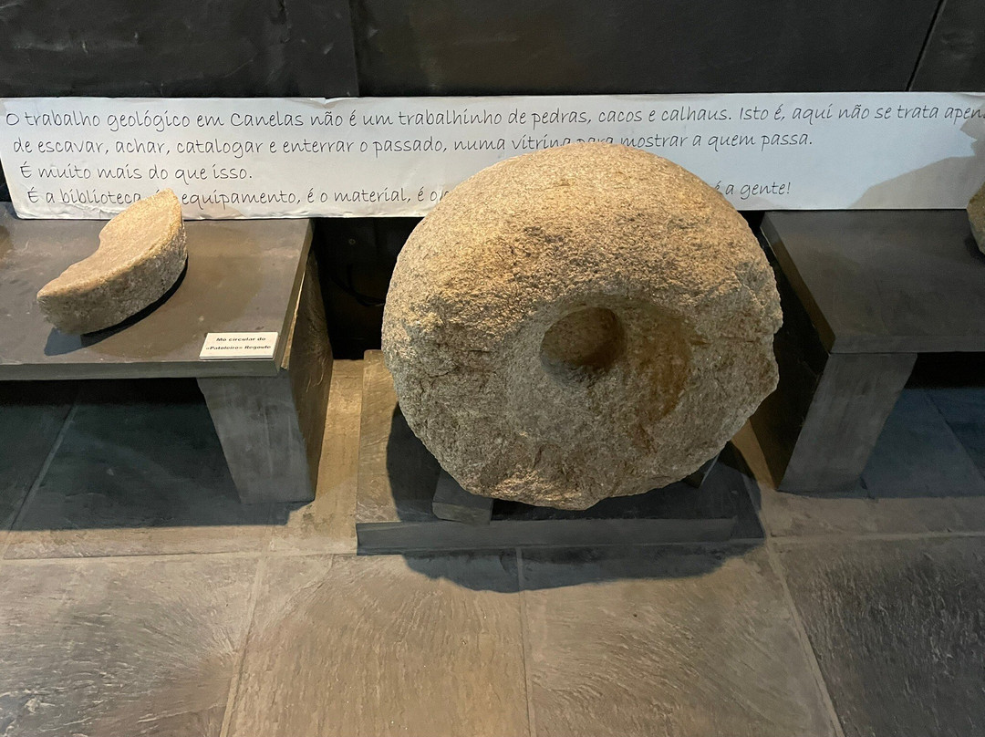 Museu Das Trilobites