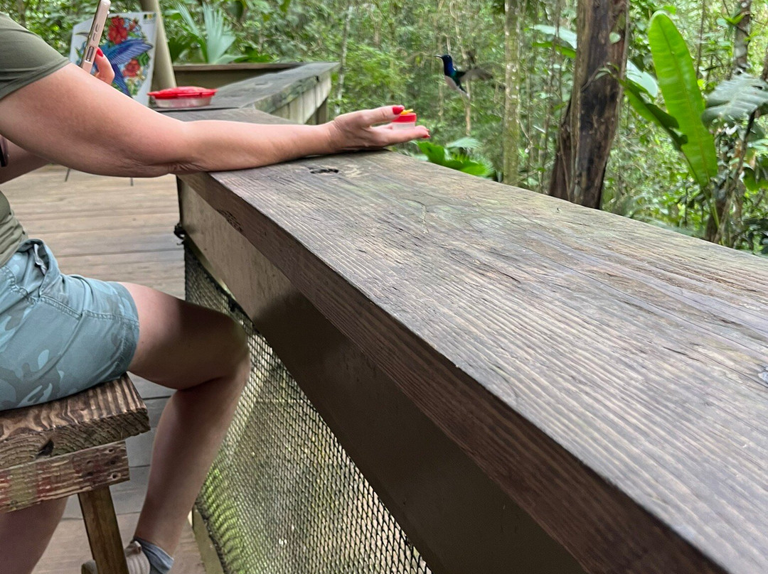 Panama Rainforest Discovery Center-甘博阿必去景点