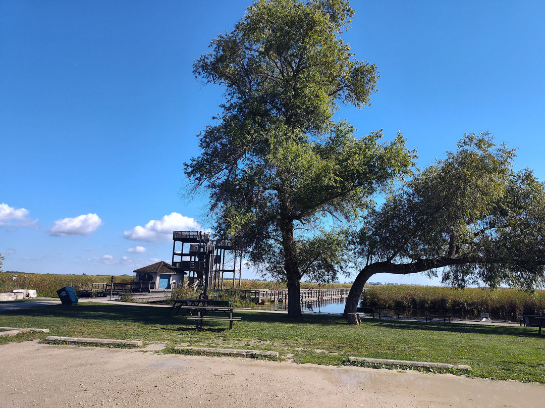 Point Pelee National Park-利明顿必去景点