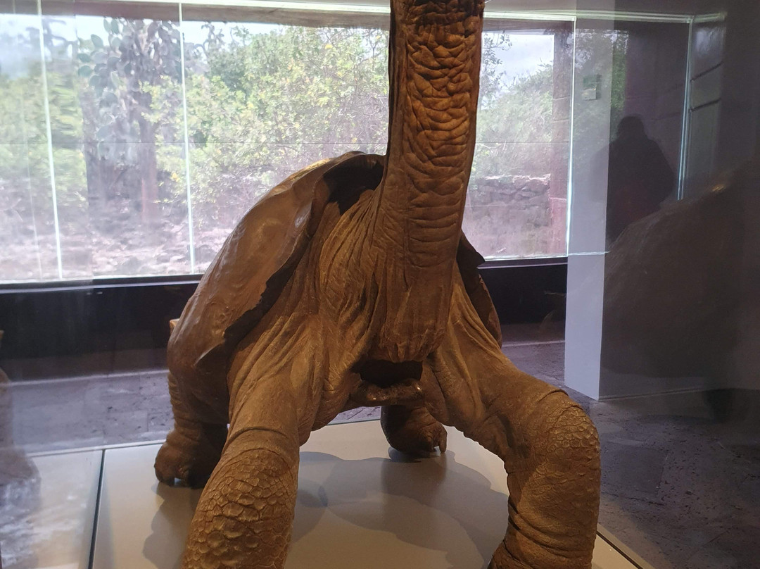 Estación Científica Charles Darwin-阿约拉港必去景点