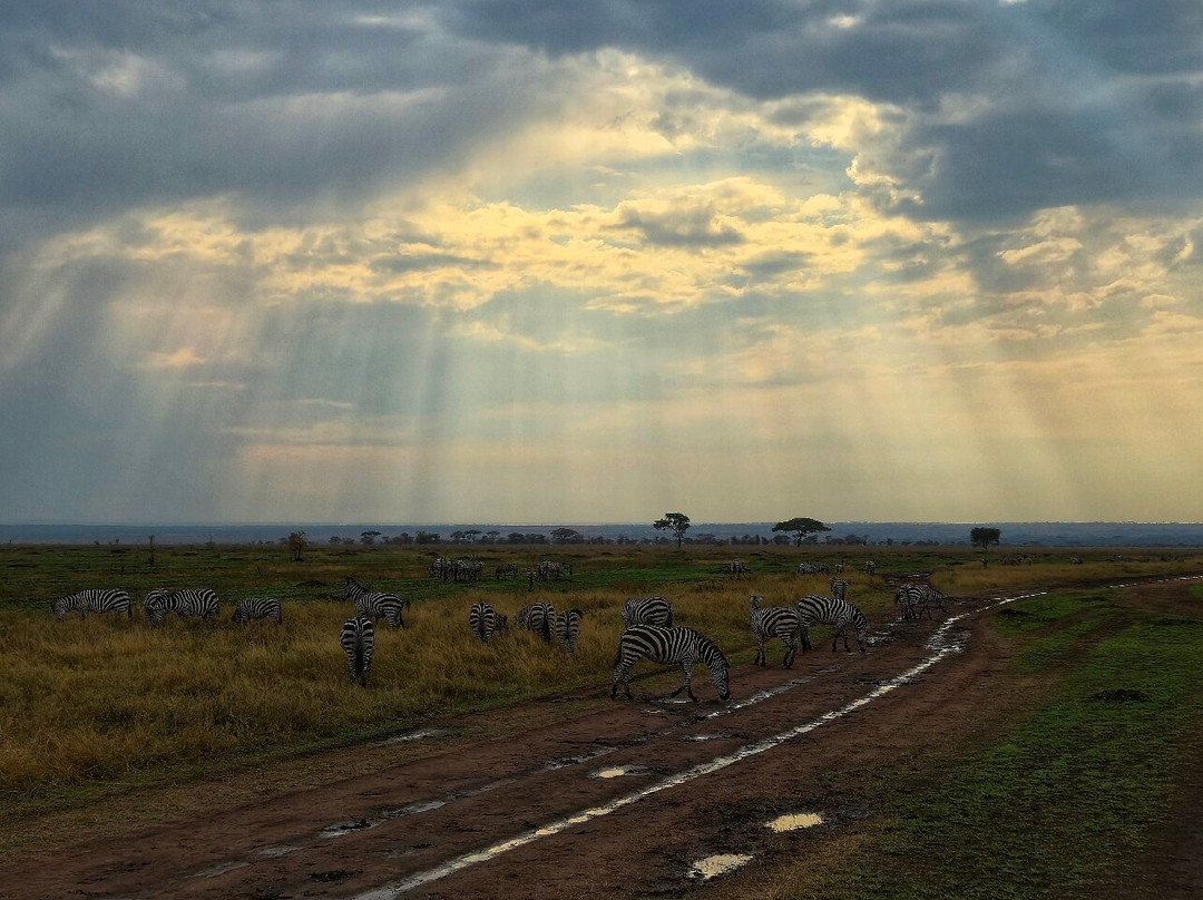 Shanjoy Tours and Safaris-Kikuyu必去景点