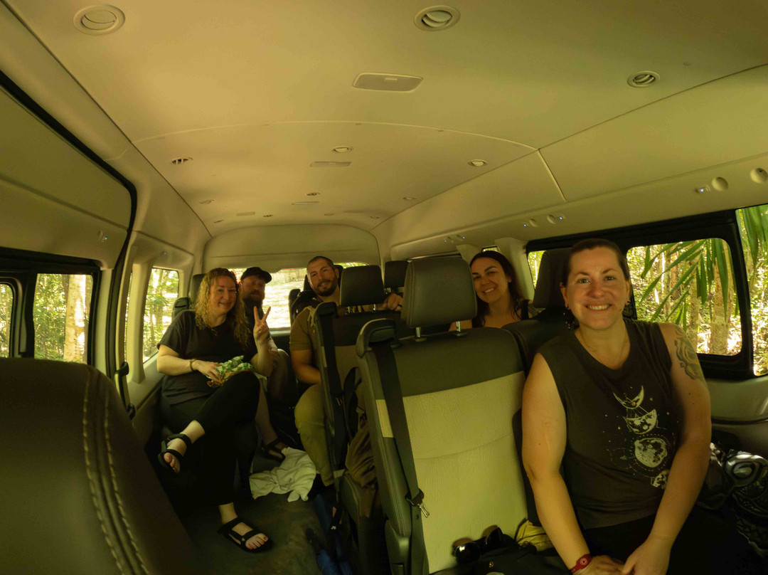 Birding with Steven-普拉亚德尔卡曼必去景点