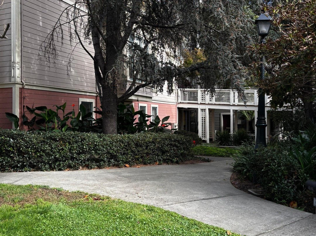 Preservation Park-奥克兰必去景点