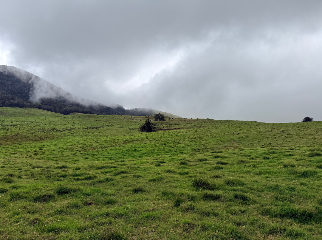 Na'alapa Stables - Kahua Ranch-卡慕也拉必去景点