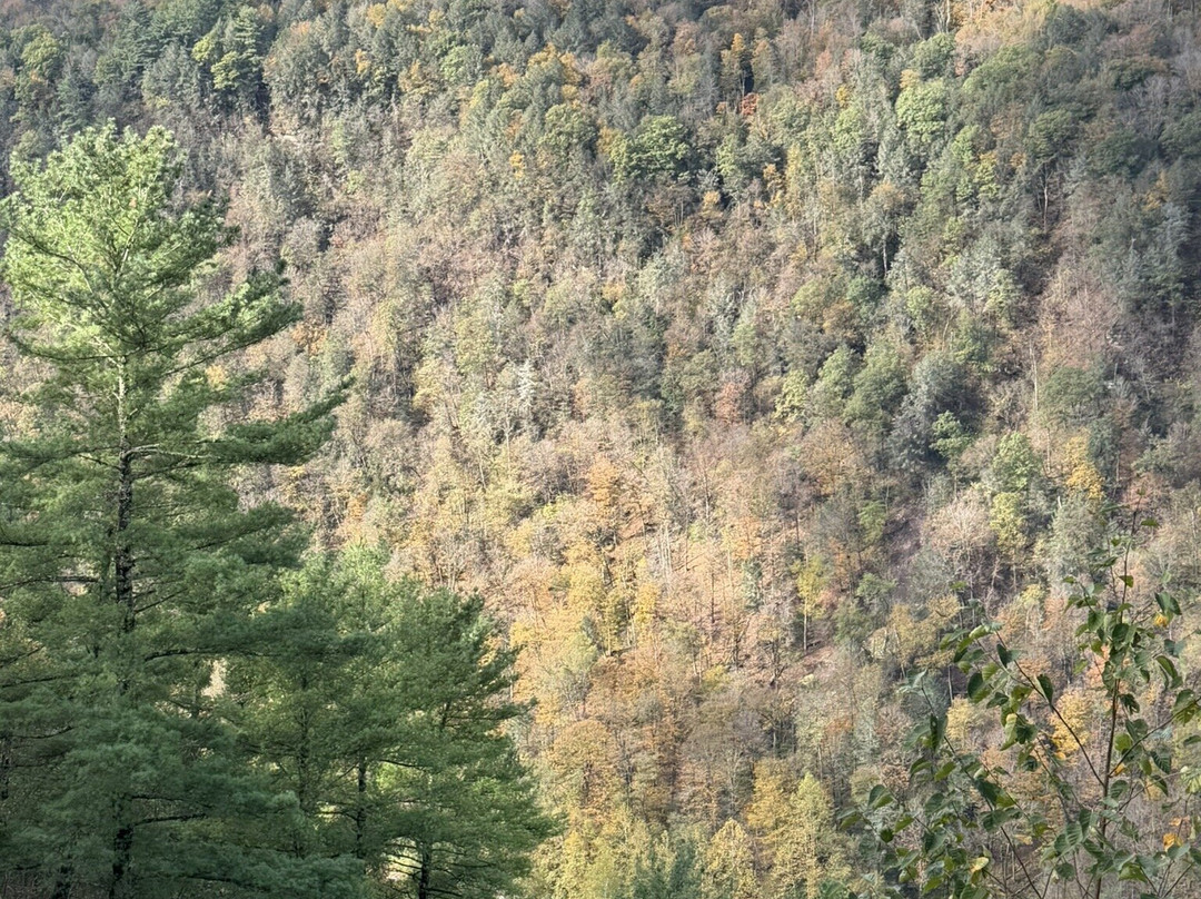 Pennsylvania Grand Canyon-Wellsboro必去景点