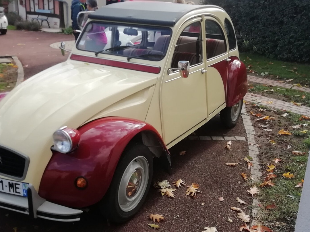 En Voiture Sologne-Romorantin-Lanthenay必去景点