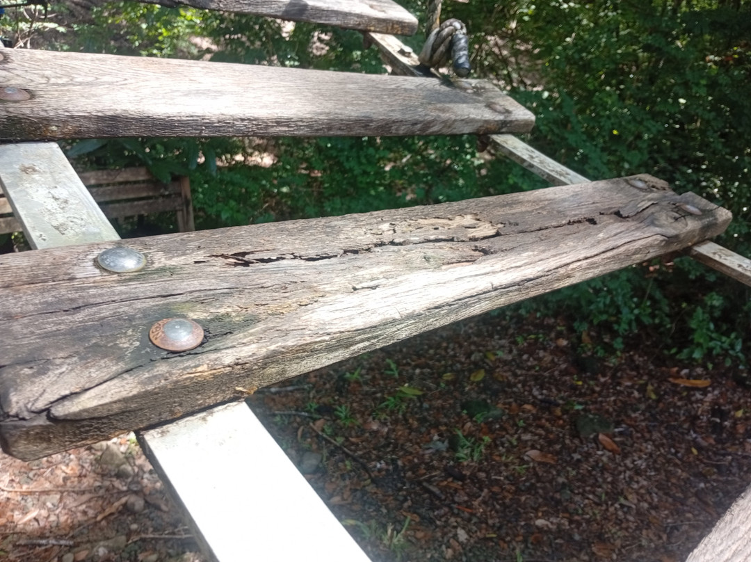 Mangofil Martinique-Trois-Ilets必去景点