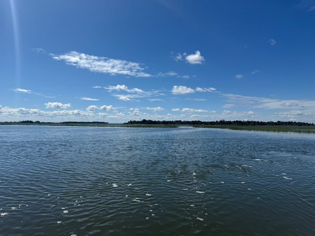 Backwater Cat Adventure-棕榈海岸必去景点