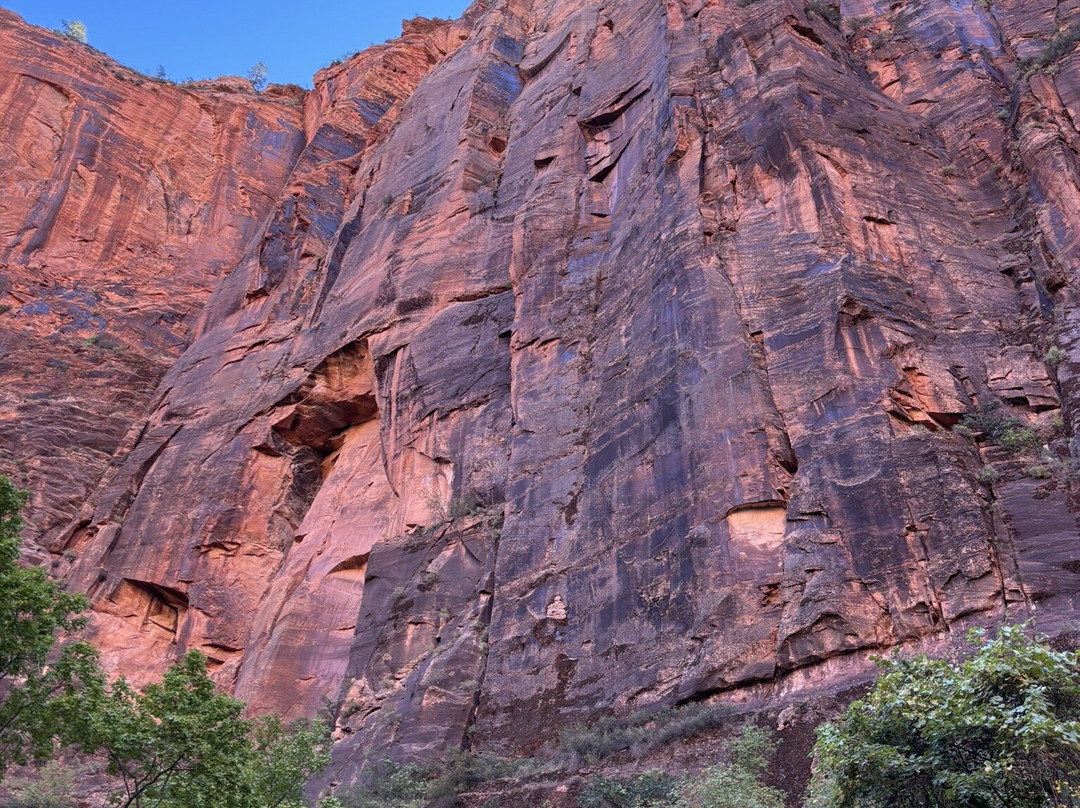 Grand Canyon Guru-Grand Canyon Village必去景点