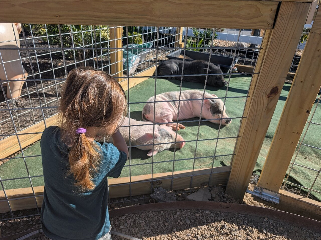 SkyLand Ranch-塞维尔维尔必去景点