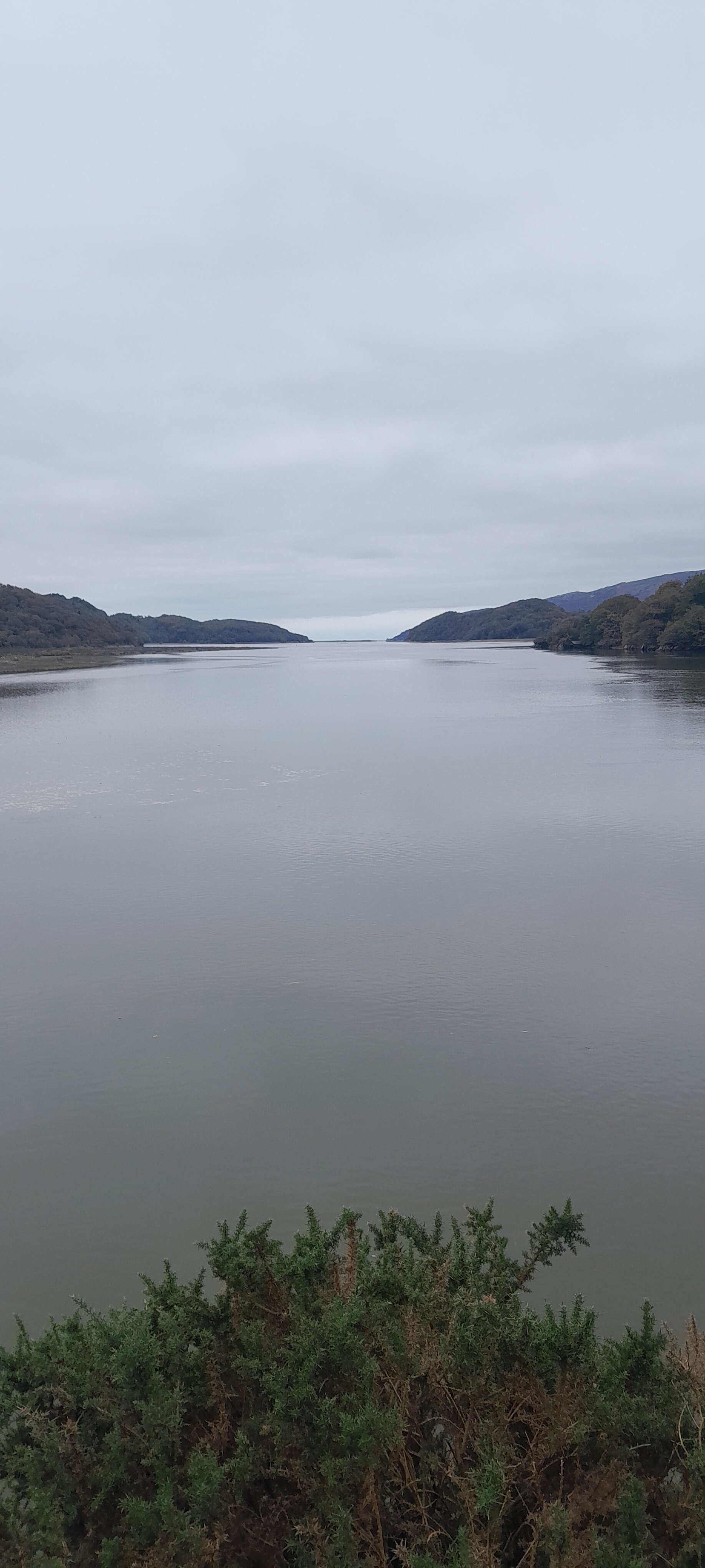 Borthwnog Hall-官方