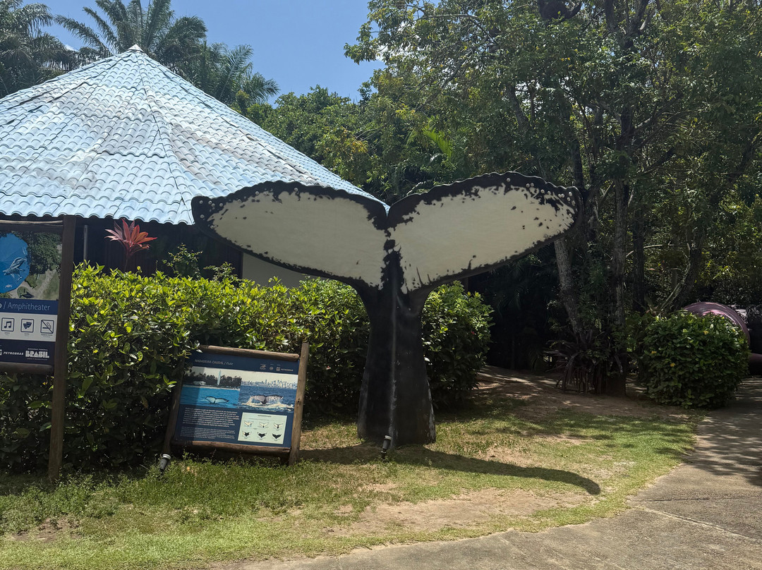 Centro de Visitantes Espaço Baleia Jubarte-普拉亚多海滩必去景点