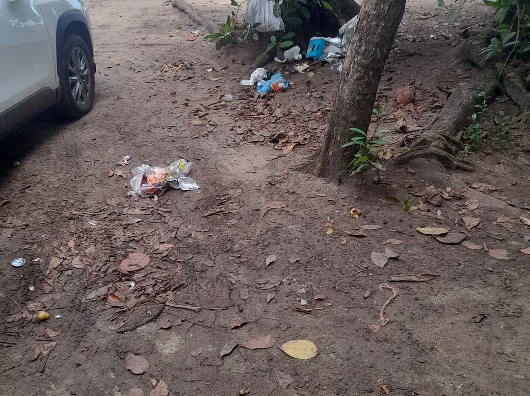 Playa Punta Uva-Punta Uva必去景点