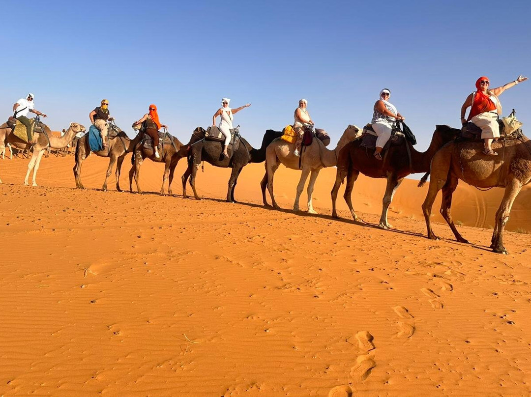 Sunshine Morocco Tours-马拉喀什必去景点