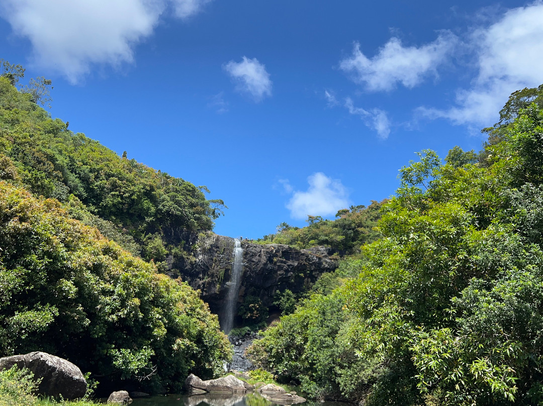 Tamarind Falls-Vacoas-Phoenix必去景点