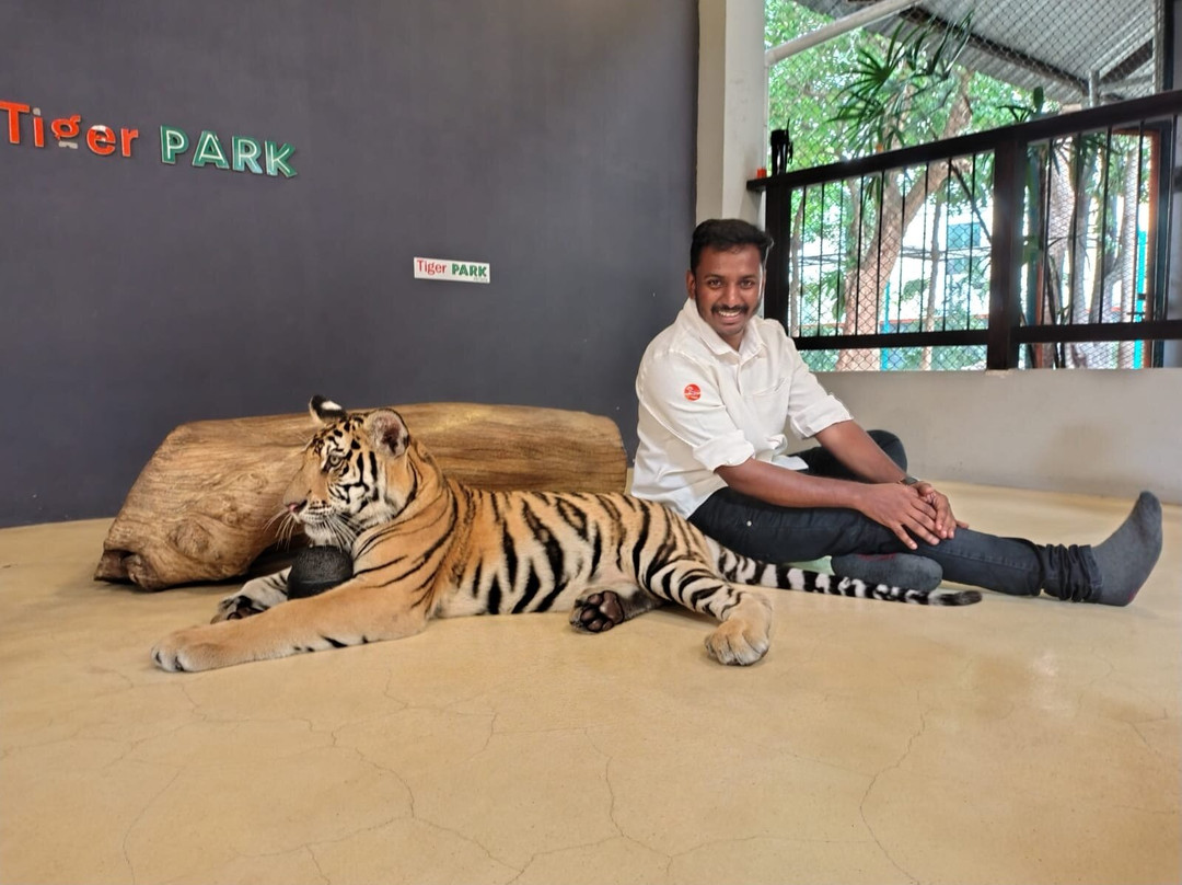 Tiger Park Pattaya-芭堤雅必去景点