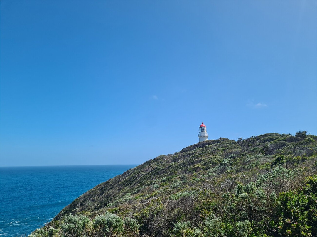 Cape Schanck Lighthouse-斯参克岬必去景点