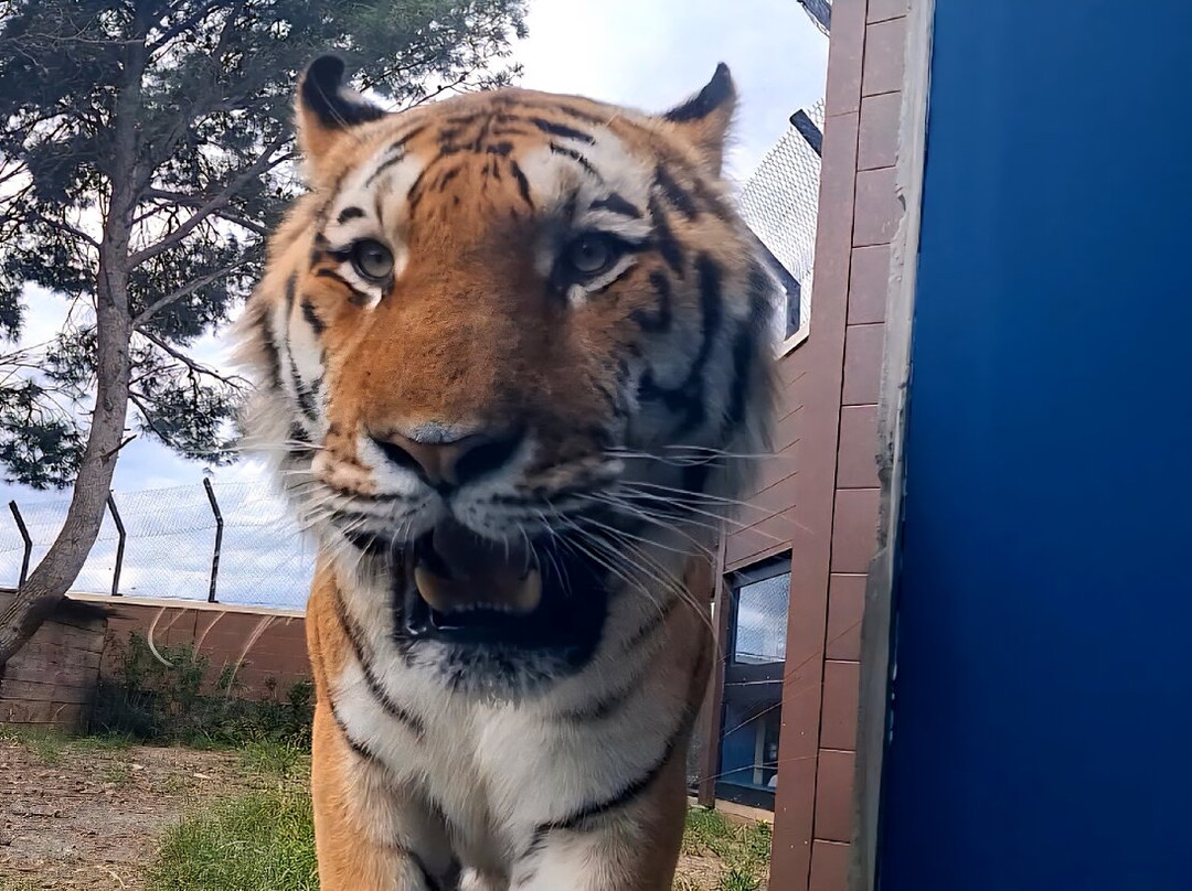 EcoZonia - Parc Animalier-Cases de Pene必去景点
